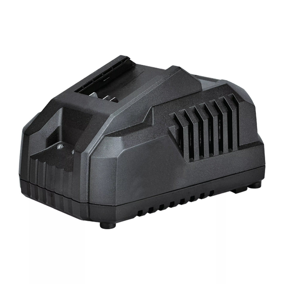 Įkroviklis 4.0A, 20V, FFCL20-04, DCK